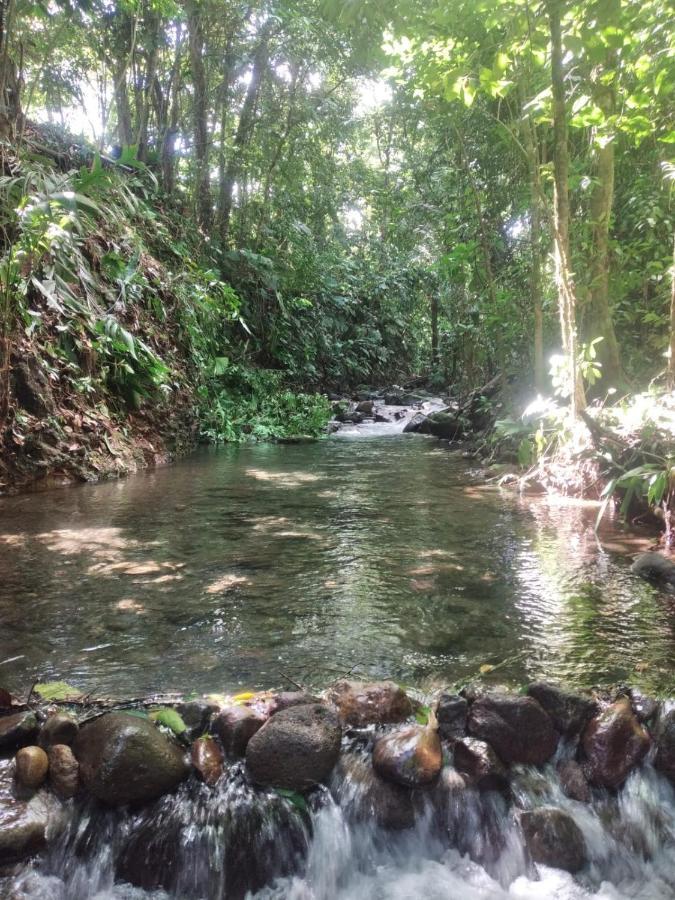 La Fortuna Natural Green المظهر الخارجي الصورة