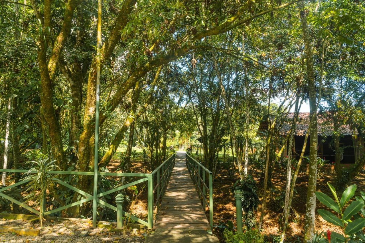 La Fortuna Natural Green المظهر الخارجي الصورة