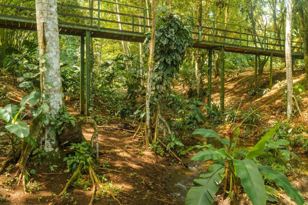La Fortuna Natural Green المظهر الخارجي الصورة