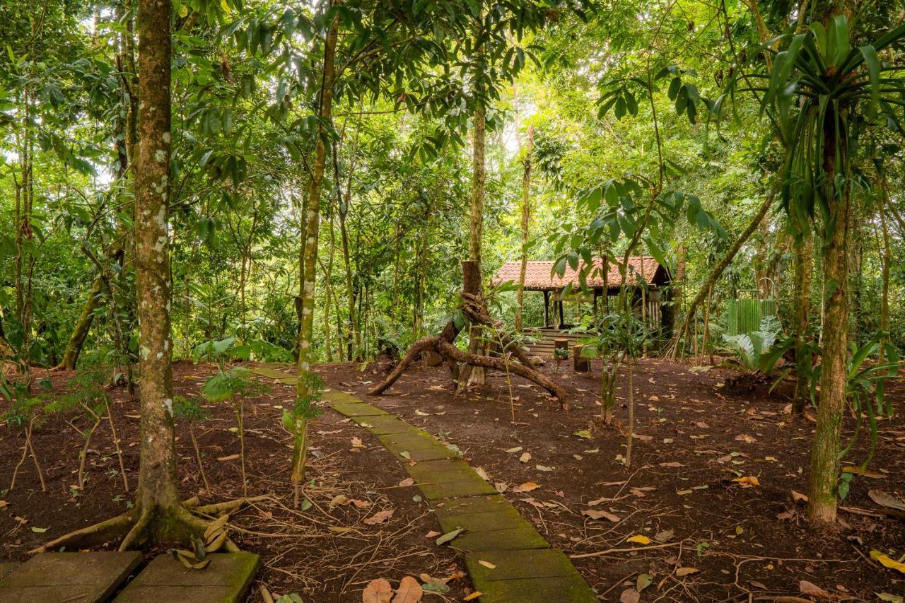 La Fortuna Natural Green المظهر الخارجي الصورة