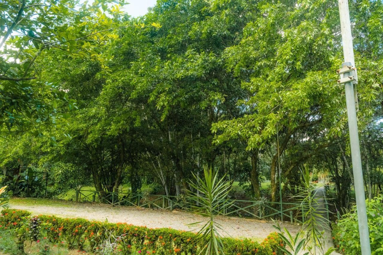 La Fortuna Natural Green المظهر الخارجي الصورة